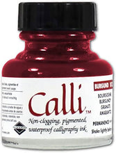Load image into Gallery viewer, Daler-Rowney - Calli Ink