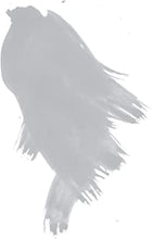 Load image into Gallery viewer, Daler Rowney - FW Acrylic Inks