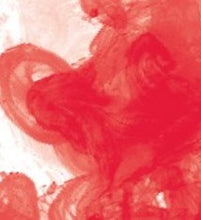 Load image into Gallery viewer, Daler Rowney - FW Acrylic Inks