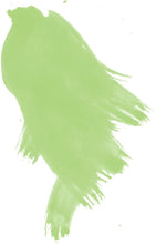 Load image into Gallery viewer, Daler Rowney - FW Acrylic Inks