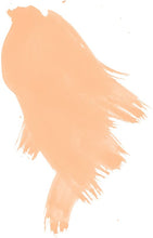 Load image into Gallery viewer, Daler Rowney - FW Acrylic Inks