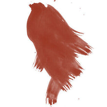 Load image into Gallery viewer, Daler Rowney - FW Acrylic Inks