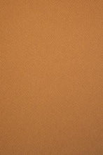 Load image into Gallery viewer, Fabriano Tiziano Pastel Paper 50cmx65cm 160gsm