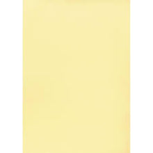 Load image into Gallery viewer, Fabriano Tiziano Pastel Paper 50cmx65cm 160gsm