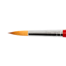 Load image into Gallery viewer, Daler Rowney Dalon Paint Brushes