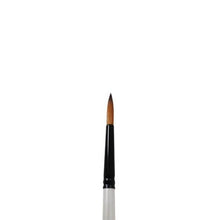 Load image into Gallery viewer, Daler Rowney - Graduate Brushes