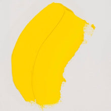 Load image into Gallery viewer, Royal Talens Van Gogh Oil Colours
