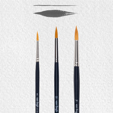 Load image into Gallery viewer, Van Gogh Oil &amp; Acrylic Brush Set -Series 295 Size 8, 12, 16
