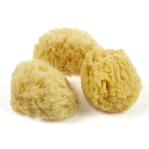 Daler-Rowney Natural Sea Sponge