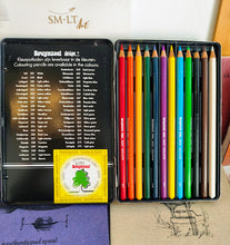 Load image into Gallery viewer, Bruynzeel Design Colour Pencils - Set of 12 pencils
